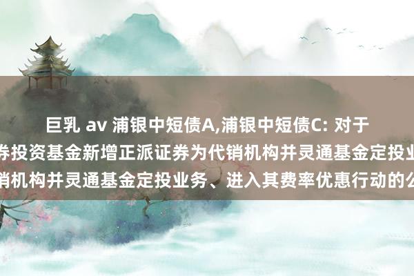 巨乳 av 浦银中短债A,浦银中短债C: 对于浦银安盛中短债债券型证券投资基金新增正派证券为代销机构并灵通基金定投业务、进入其费率优惠行动的公告