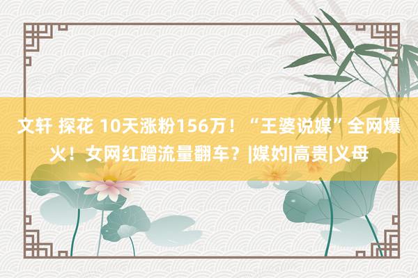 文轩 探花 10天涨粉156万！“王婆说媒”全网爆火！女网红蹭流量翻车？|媒妁|高贵|义母