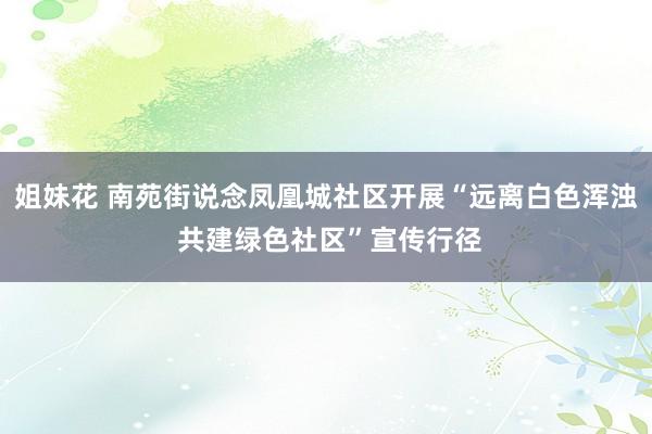 姐妹花 南苑街说念凤凰城社区开展“远离白色浑浊 共建绿色社区”宣传行径
