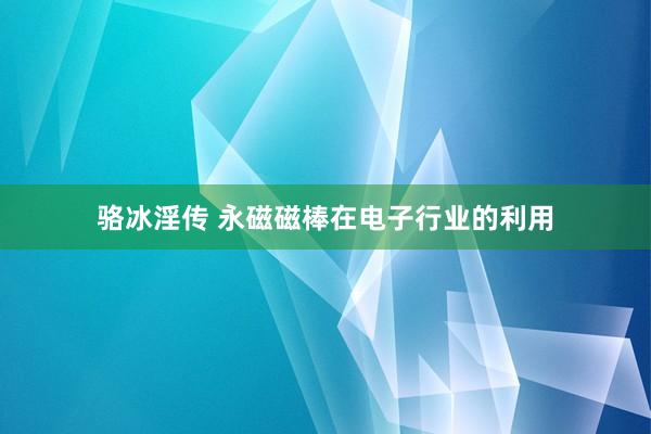 骆冰淫传 永磁磁棒在电子行业的利用
