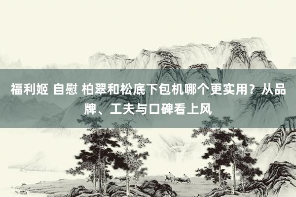 福利姬 自慰 柏翠和松底下包机哪个更实用？从品牌、工夫与口碑看上风