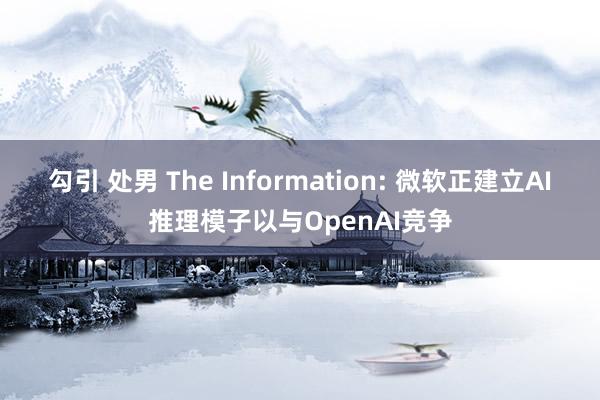 勾引 处男 The Information: 微软正建立AI推理模子以与OpenAI竞争