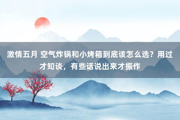 激情五月 空气炸锅和小烤箱到底该怎么选？用过才知谈，有些话说出来才振作