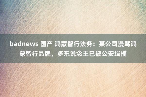 badnews 国产 鸿蒙智行法务：某公司漫骂鸿蒙智行品牌，多东说念主已被公安缉捕